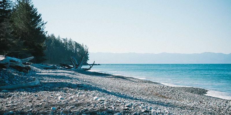 VAC国际快递如何优化最后一公里：构建海外本地化派送网络的关键策略