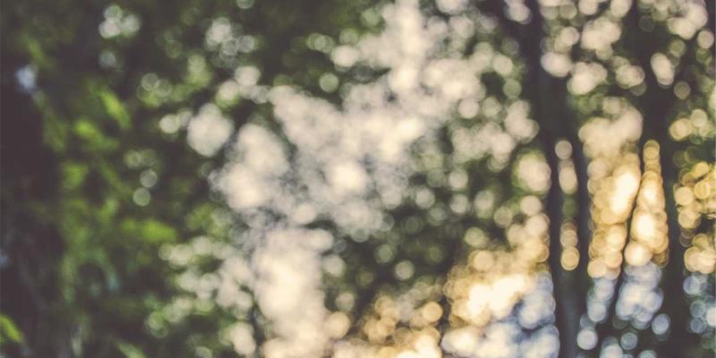 VAC快递1：连接全球的国际快递与物流配送专家