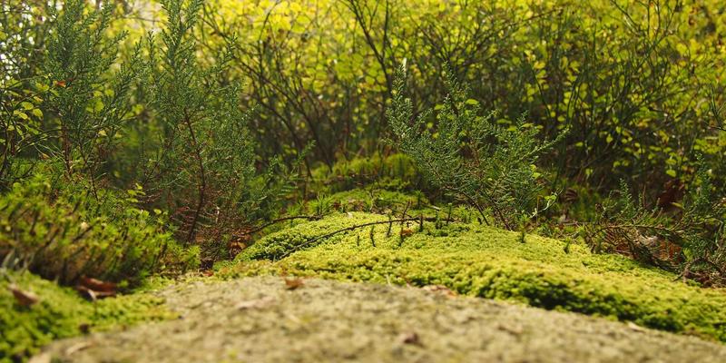 VAC快递2：数字化货运解决方案如何重塑现代供应链