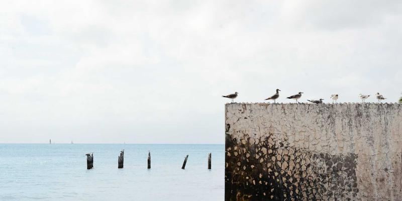 VAC快递39：重新定义国内快递服务，赋能现代供应链管理