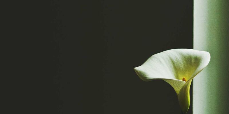 VAC快递41：重新定义高效物流配送与卓越快递服务的新标杆