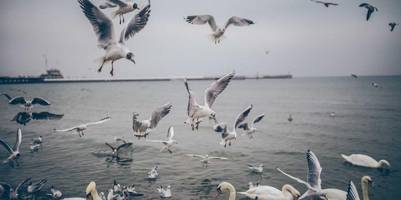 VAC快递45：连接全球的高效国际快递解决方案