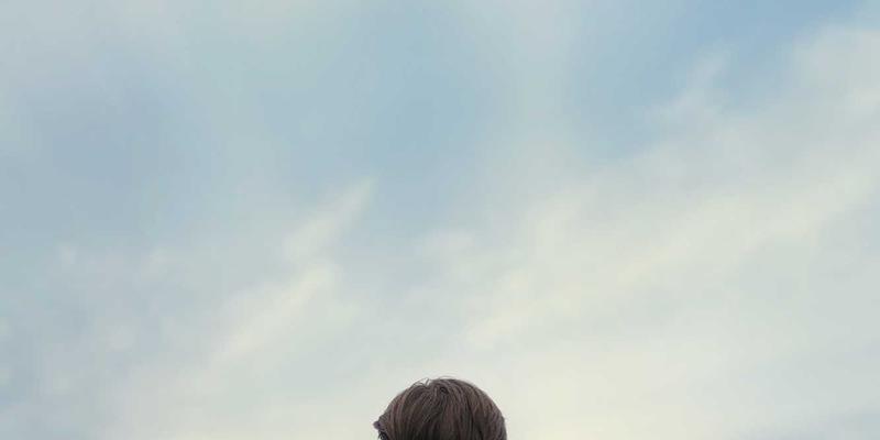 VAC快递56：连接全球与本土的专业物流解决方案