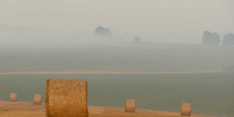 VAC快递58：重塑国际快递与货运供应链的新标杆