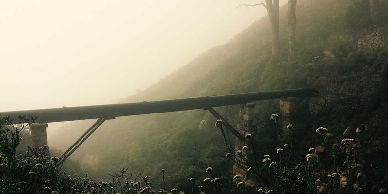 VAC快递62：高效可靠的国内快递服务新选择