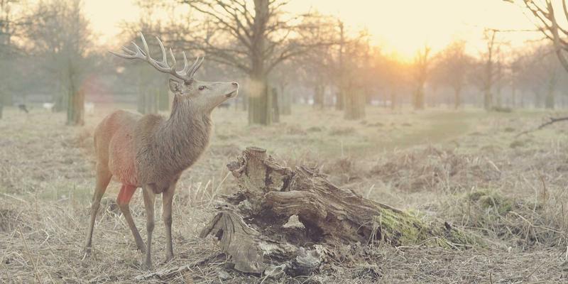 VAC快递68：全球物流配送与供应链优化的高效解决方案