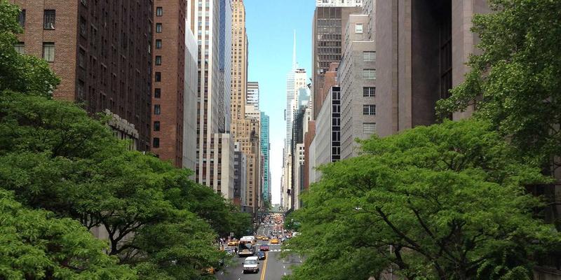 VAC快递77：连接全球的高效国际货运解决方案