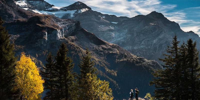 VAC快递81：连接全球的货运解决方案，国内与国际快递服务的专业之选