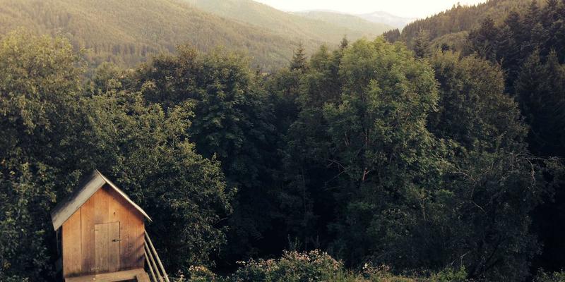 VAC快递92：高效货运与智能物流配送的新标杆