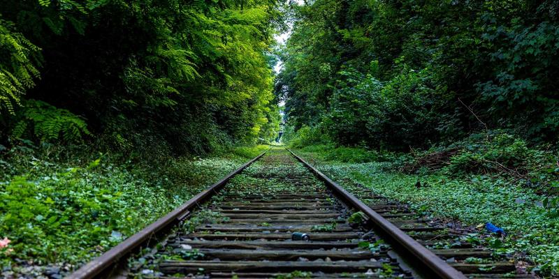 VAC快递与国际巨头对比：如何选择最适合您的跨境货运服务？