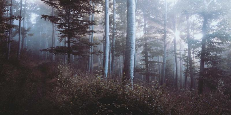 VAC快递：为中小型电商企业量身定制专属跨境物流方案，打通国际快递与国内快递服务链路