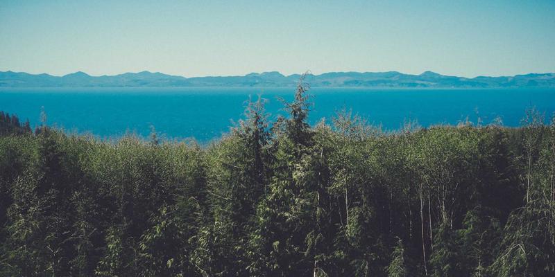 VAC快递包装规范详解：如何确保国际运输中货物的安全与完整