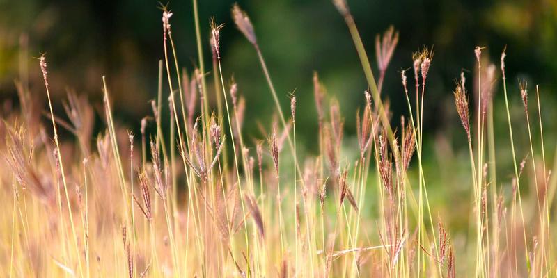 VAC快递多目的地合并运输策略：中小企业降低货运成本的供应链优化技巧