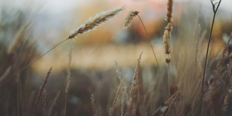 VAC快递敏感货运输全攻略：化妆品、电池、液体等特殊物品的清关技巧与供应链优化