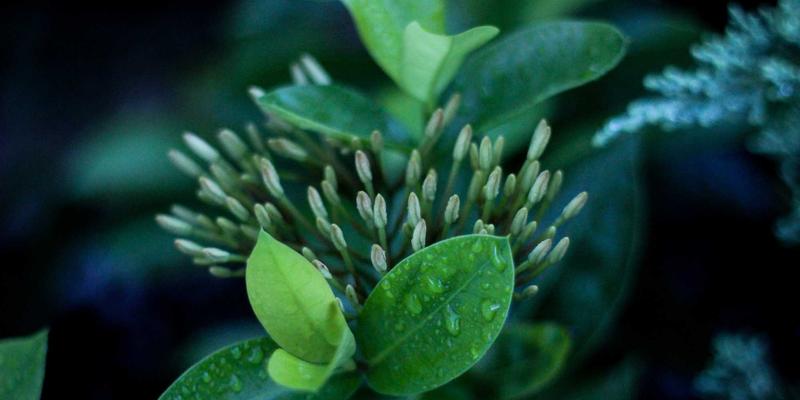 VAC快递数字化物流体验：API对接、智能预报与数据看板如何重塑供应链效率