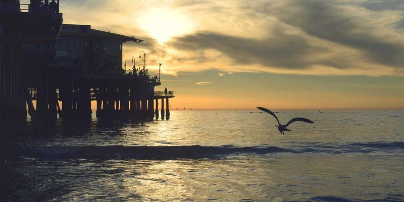 VAC快递新兴市场专线深度解析：优化东南亚、中东、拉美供应链的货运策略