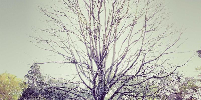 如何利用VAC快递追踪系统提升国内快递客户体验与供应链透明度